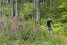 Ostbelgien_MTB_Stoneman_12(c)Thomas_Linkel_Interreg_EFRE
