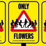 Only Flowers