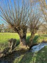 balade nature 2