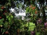 2018-05-20-die-natur-erwacht-umgebung-von-honsfeld-foto-marc-herff-klein