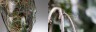 Norbert_Huppertz+Johannes_Weber