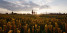 Hohes_Venn_Kids_on_Tour_Baraque_Michel_Familienwanderung_04©Chris_Eyre-Walker