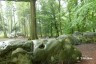 zyklopensteinefs-w1280h800