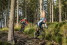 MTB_Hertogenwald_005(c)www.ostbelgien.eu_Dennis_Stratmann