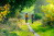 MTB_Tour_4_Buetgenbach_Nidrum_Am_Paradies©www.ostbelgien.eu_Dennis_Stratmann_24