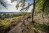 MTB_Hertogenwald_092(c)www.ostbelgien.eu_Dennis_Stratmann