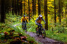 MTB_Tour_4_Buetgenbach_Weywertzer_Heck_Knochenhoele_09©www.ostbelgien.eu_Dennis_Stratmann