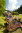 Kalterherberg_Railbike_12(c)vennbahn.eu