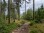 Montenau_Trailrunning_01_TAO