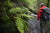 Ostbelgien_Wandern_Bachlauf_01(c)HIKE&trekking_Magazine_Lex_van_den_Bosch