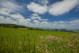 Burg-Reuland_Ouren_Landschaft_04(c)ostbelgien.eu