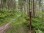 Montenau_Trailrunning_07_TAO