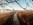 Hohes_Venn_Brackvenn_Wandern_06©Chris_Eyre-Walker