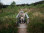 Hohes_Venn_Lehrpfad_Farbe_des_Venns_PMR_02©Chris_Eyre-Walker
