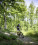 Mountainbike (c)ostbelgien.eu_Dehaspe