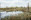 Hohes_Venn_Brackvenn_04©Chris Eyre-Walker