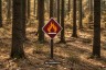 Brandgefahr-Trockenheit-AI generated-2